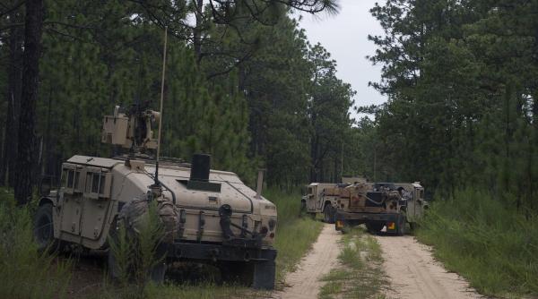 seful armatei germaniei ordona cresterea rapida a capabilitatilor de lupta