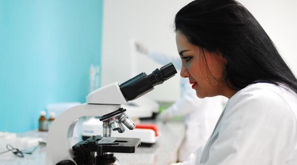 o ciuperca mortala care devoreaza din interior spre exterior se poate raspandi in mai multe regiuni avertizeaza cercetatorii lumea nu este pregatita