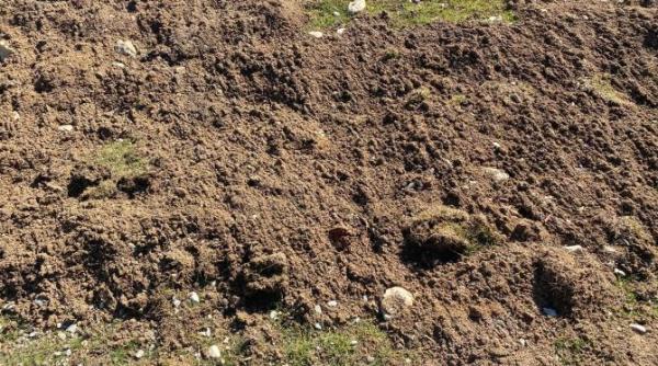 romania fara acte 20prc din terenurile agricole fara proprietar realitatea de la firul ierbii avem balti si seceta si vrem sa vina avionul care aduce ploaia