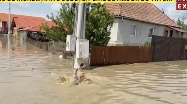 moment cutremurator o jurnalista romania tv a cazut intr un sant adanc video