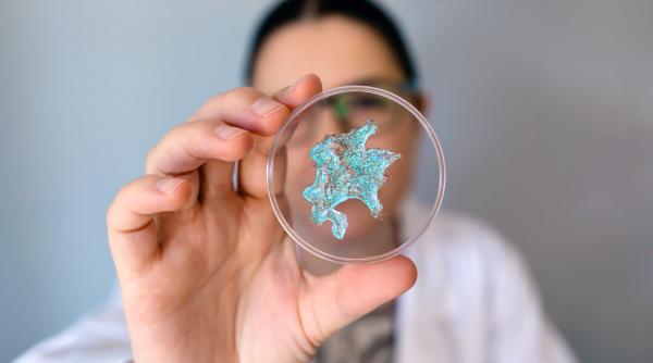 plasticul care dispare in mare cum poate descoperirea japoneza sa salveze oceanele de poluare