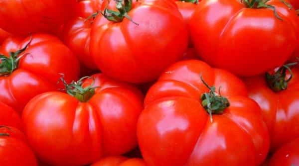 au stropit cu buna stiinta legume cu substante nocive decizia magistratilor