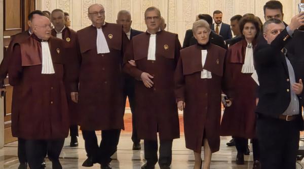 ccr a decis secretizarea declaratiilor de avere de teama inteligentei artificiale ana birchall reactie