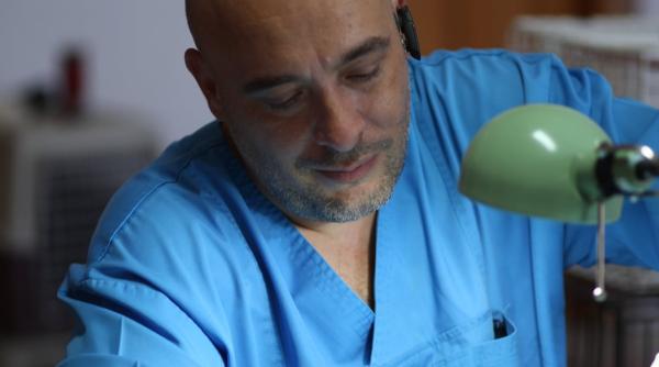 medicul veterinar mircea stefanache la dc anima