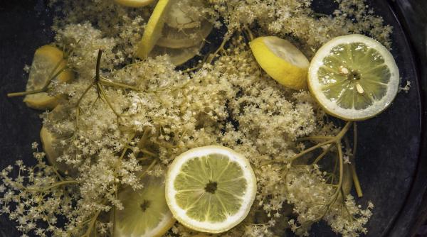 retete cu flori de soc le poti folosi chiar si la clatite