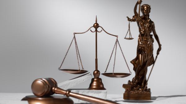 femeie din suceava frauda de aproape 1 000 000 de lei a ajutat familii sa obtina ilegal indemnizatii de cresterea copilului