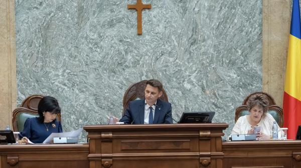 cine este mircea abrudean noul presedinte al senatului