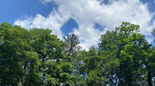 doar 5 lei cel mai ieftin city break pe care il poti face vara asta la munte in romania foto video