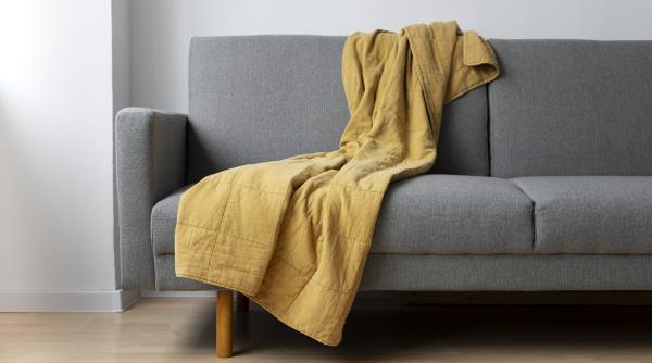 secretul unei canapele impecabile cum cureti rapid si eficient materialul textil