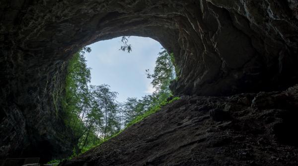 o pestera din romania ar putea da indicii despre viata extraterestra 33 de specii unice intr o pestera care sfideaza regulile naturii