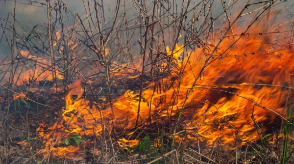 evacuari in masa in insula creta pompierii greci se lupta cu un puternic incendiu foto