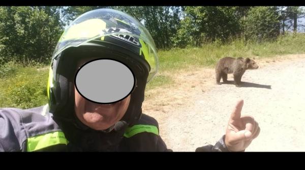 la noi mori din cauza ursului in zambia din cauza elefantilor legatura dintre cele doua cazuri socante