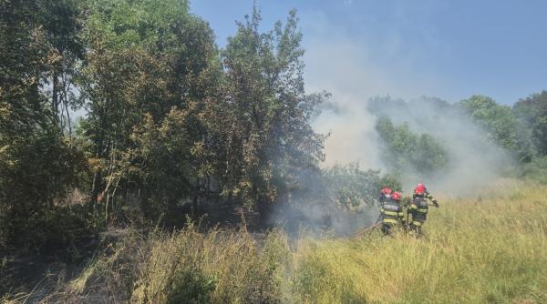incendiu la gradina botanica din iasi foto