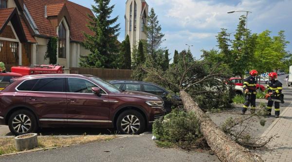 furtunile au facut prapad in tara zeci de copaci cazuti acoperisuri luate de vant localitati fara energie electrica