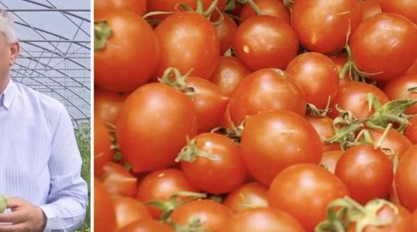 cum iti dai seama cu ochiul liber ca rosiile cumparate sunt toxice au fost umplute cu substante chimice