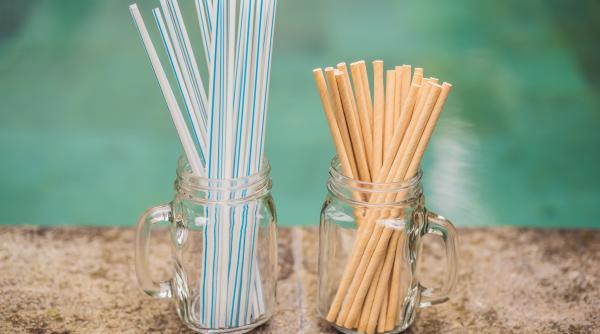 crezi ca paiele din carton ajuta planeta mihaela bilic explica de ce nu e asa