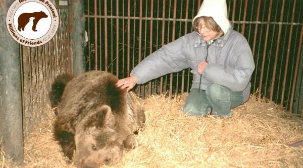 de la soarele coastei de azur la padurile brasovului povestea cristinei lapis femeia care a salvat peste 30 de mii de animale video