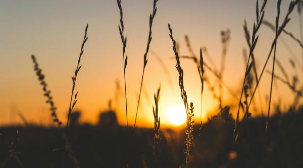 obicei vechi din satul romanesc la care sunt invitati localnici si turisti cum de in trecut munca la camp parea atat de usoara