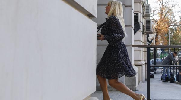 elena udrea ziua decisiva in instanta ar putea fi eliberata