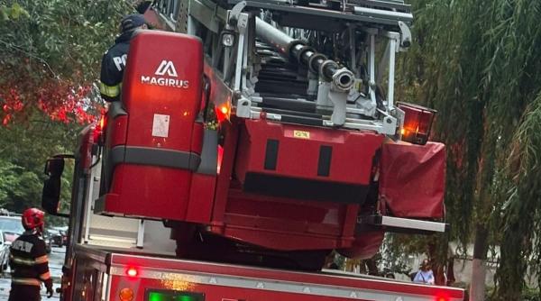 efectele fenomenelor meteo severe din 17 iulie au cazut peste 500 de copaci si 24 de stalpi au zburat bucati din 83 de acoperisuri o femeie moarte socanta