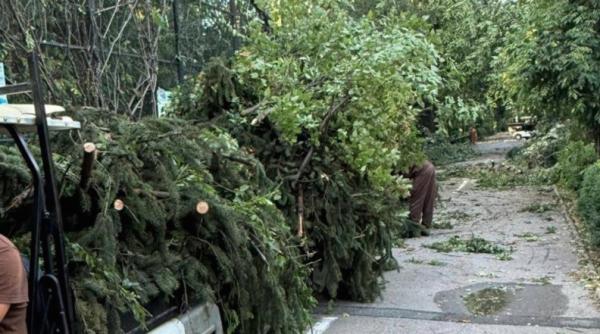 gradina zoologica bucuresti se inchide pentru trei zile in urma furtunii de joi