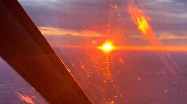 cezar osiceanu omagiu de ziua aviatiei un buchet de maci tesute cu dragoste pentru zbor foto