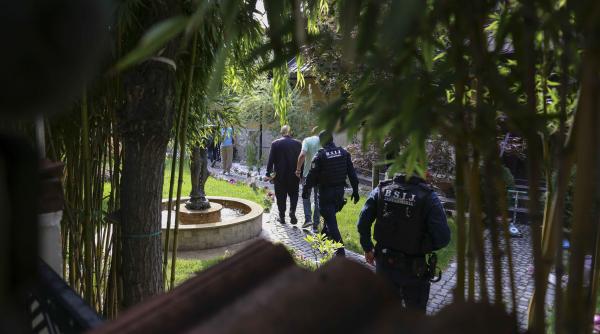 piedone a revenit la dna