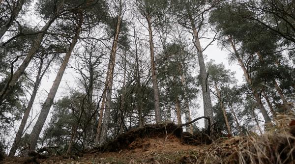 creste riscul alunecarilor de teren la fosta mina de sare din maramures zeci de persoane evacuate