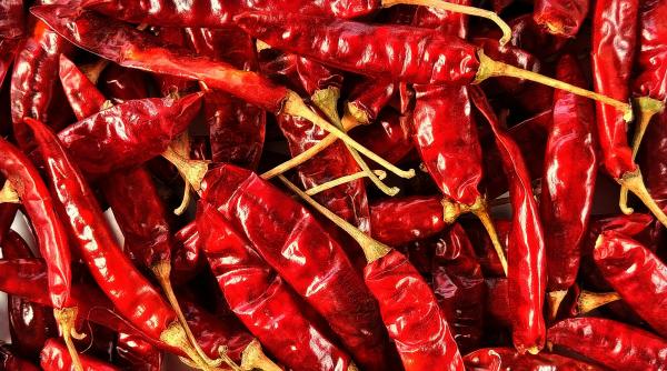 metode eficiente pentru uscarea ardeilor iuti acasa