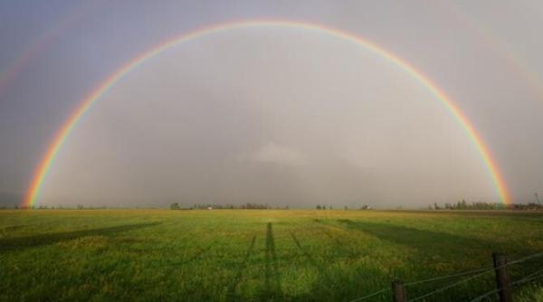 dupa canicula furtuni alerte meteo de fenomene severe imediate lista judetelor pentru care a fost emis cod galben 24 iulie