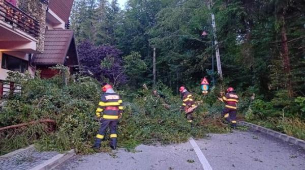 fenomene severe puternice cod portocaliu in timis un copac a cazut peste o persoana