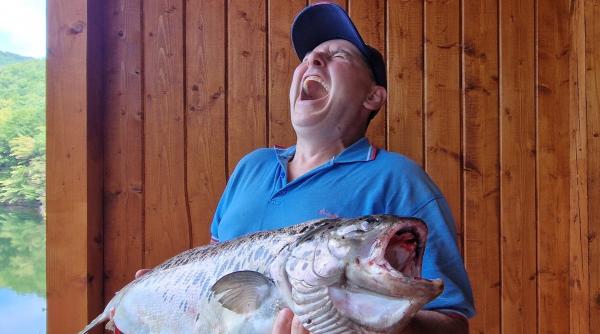 cel mai mare pastrav curcubeu prins vreodata in romania secretul care favorizeaza dezvoltarea pestilor in lacul tarnita