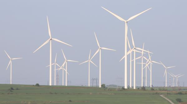 lovitura pentru activistii ecologici din ue care s au opus parcurilor eoliene