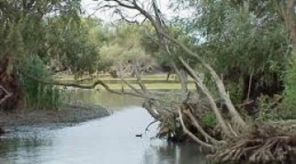 accident naval in delta dunarii patru persoane implicate printre care doi copii