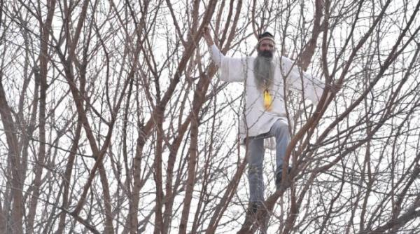 stegarul dac a coborat din copacul de la penitenciarul rahova in care care se urcase