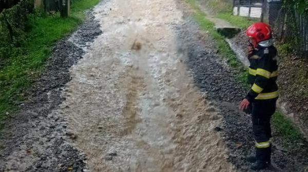 furtuna puternica la sighetu marmatiei strazi inundate subsoluri afectate si arbori doborati de vant