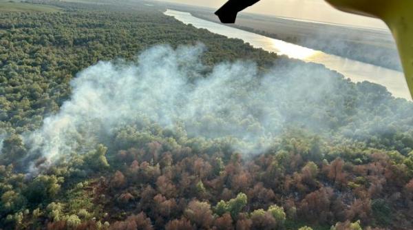 incendiu de vegetatie la chilia veche elicopterul black hawk trimis sa intervina foto video