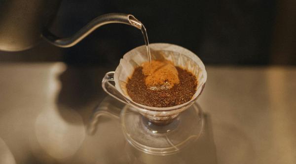 zatul de cafea comoara ascunsa din bucatarie care iti poate salva gradina