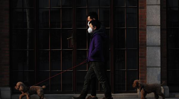 alerta in china din cauza unui virus transmis de tantari sunt impuse masuri similare celor aplicate in timpul pandemiei covid este infricosator