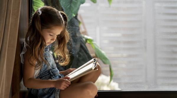 istoria ca poveste sau ca definitie academica lectia amara din manualele scolare