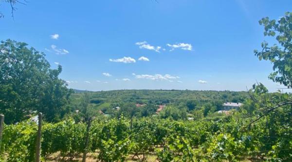 romani mutati pe pamantul fagaduintei ce a urmat nu stiau ce se va petrece acolo acum zona apartine ucrainei video