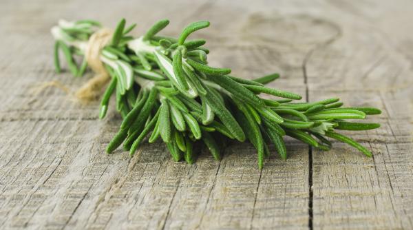 cele trei afectiuni pe care rozmarinul le combate in mod eficient