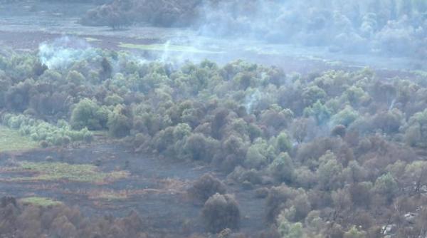 incendiul din delta dunarii a opta zi de lupta cu flacarile intervin doua elicoptere black hawk si peste 40 de pompieri foto