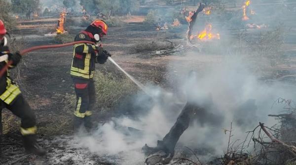 incendiu puternic in grecia peste 20 de militari romani chemati sa intervina foto video