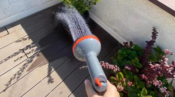 nici cactusi nici bonsai sase plante ventilator care iti racoresc casa si absorb caldura