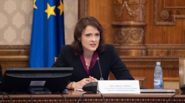 silvia monica dinica numita secretar de stat la ministerul muncii