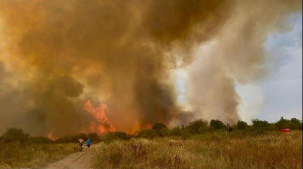 flacari uriase in targu jiu incendiul s a extins rapid pe mai multe sute de hectare