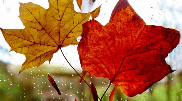 prognoza pe doua saptamani pe regiuni toamna vine cu temperaturi de vara dar si cu vreme capricioasa