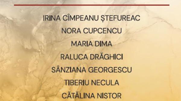 rezidenta artistica beclean 2025 un proiect aflat la prima editie