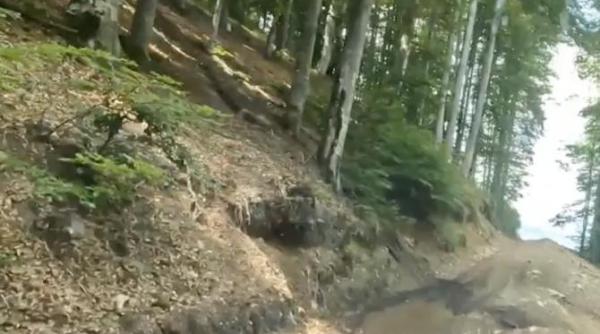 unicul supravietuitor al accidentului din iezer a agonizat 10 ore tatal lui chemat la cautari fara sa stie ca fiul sau a fost implicat in accident